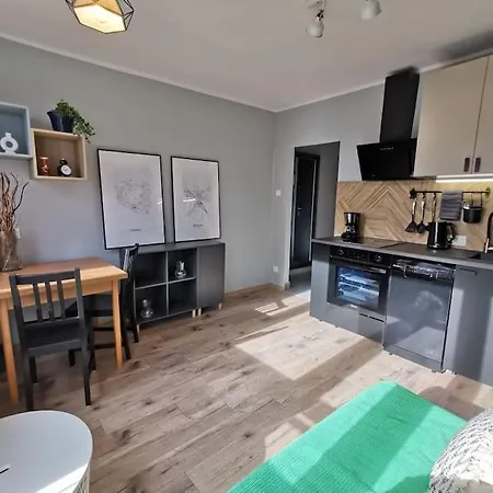 Flat Near Old Town Apartment